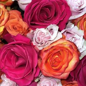 Meet your Posher, Vic